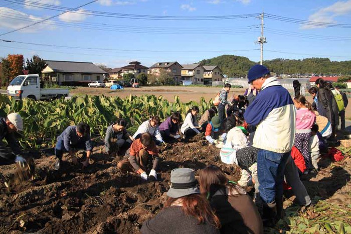 tomioka.jpg